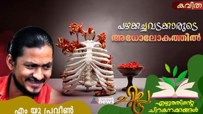 പഴക്കച്ചവടക്കാരുടെ അധോലോകത്തില്‍, എം യു പ്രവീണ്‍ എഴുതിയ മൂന്ന് കവിതകള്‍ 