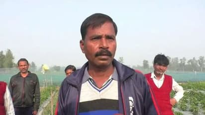 स्ट्राबेरी की खेती ने बाराबंकी के इस किसान की बदल दी तकदीर