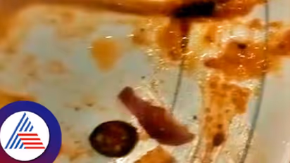 Cockroach found in meal at prestigious star hotel in Bengaluru, lawyer files complaint