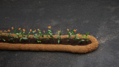 ഒരു പുതിയ ഐഡിയ, നമ്മുടെ റോ‍ഡുകളിൽ ഇത് വന്നാൽ എങ്ങനെയുണ്ടാകും, ചെലവും വളരെ കുറവ്; കുറിപ്പുമായി മന്ത്രി രാജീവ്