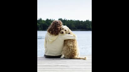 బిస్కెట్లనుకుందో ఏమో.. రూ.4 లక్షలు మింగేసిన పెంపుడుకుక్క.. యజమానులు చేసిన పని వైరల్..