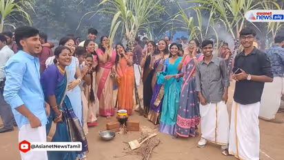 Pongal 2024: Know date, time, significance and more of this harvest festival