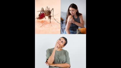 ಸೊಳ್ಳೆಗಳೇಕೆ ಕೆಲವರಿಗೆ ಮಾತ್ರ ಜಾಸ್ತಿ ಕಚ್ಚುತ್ತವೆ? 6 ಕಾರಣಗಳು ಇಲ್ಲಿವೆ..