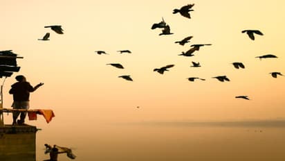 Kolkata Weather LATEST update: Temperature drop predicted, city to remain cold; Check forecast HERE