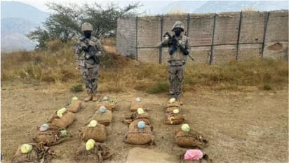 വൻ ലഹരി വേട്ട; 150 കിലോഗ്രാം ഖാത് അതിർത്തി രക്ഷാസേന പിടികൂടി