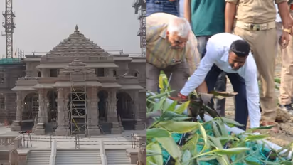 Ram Mandir consecration: Ramayan-era trees to adorn Ayodhya