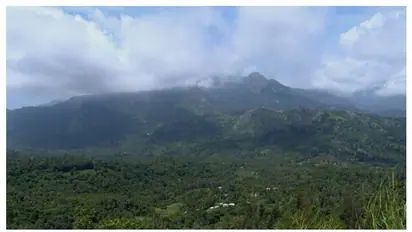 'ഈ കാടുമുഴുവൻ ഫോറസ്റ്റാണല്ലോ...'; നേപ്പാളിൽ 10 മണിക്കൂർ കാട്ടിൽ കുടുങ്ങിയ മൂന്ന് ഇന്ത്യക്കാരെ രക്ഷപ്പെടുത്തി