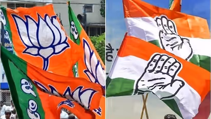 Byelection Results 2024: NDA sweeps Bihar, Assam; Priyanka Gandhi wins Wayanad; full list of winners