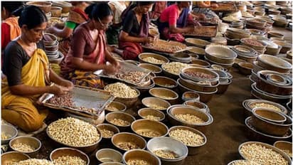 പ്രീമിയം ബ്രാന്റിൽ കശുവണ്ടി, മത്സരിക്കാനൊരുങ്ങുന്നത് രണ്ട് രാജ്യങ്ങളോട്; വിദഗ്ദ സമിതി റിപ്പോർട്ടിലെ നിർദേശങ്ങൾ