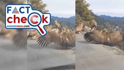 അയോധ്യയില് രാമക്ഷേത്ര ഉദ്ഘാടനത്തിന് മുന്നോടിയായി ജടായു പറന്നിറങ്ങിയോ? വീഡിയോയുടെ സത്യമറിയാം