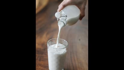 நீங்கள் தினமும் பால் குடித்தால் உங்கள் உடலில் என்ன நடக்கும்? தெரிஞ்சுக்க இதை படிங்க..