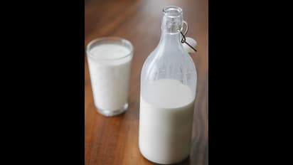 ప్రతిరోజూ పాలు తాగితే ఏం జరుగుతుందో తెలుసా?