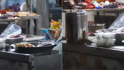 Rat infestation at IRCTC stall in MP's Itarsi junction leaves internet disgusted, railways respond (WATCH)