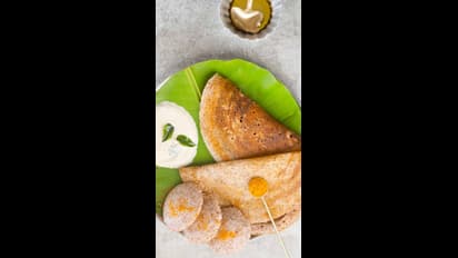 காலை டிபனுக்கு தினையில் சுவையான சத்தான தோசை சுட்டு சாப்பிடுங்க.. ரெசிபி இதோ!