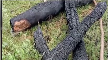 ദളിത് യുവാവിനെ വിവാഹം ചെയ്ത 19 കാരിയെ ചുട്ടുകൊന്നു; അച്ഛനും 4 ബന്ധുക്കളും അറസ്റ്റിൽ