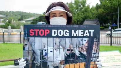 South Korea passes groundbreaking law to end centuries-old practice of eating dog meat by 2027