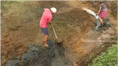 വിരിപ്പുകൃഷി കഴിഞ്ഞ് മാസങ്ങളായിട്ടും നെല്ലിന്റെ പണം കിട്ടിയില്ല, പുഞ്ചകൃഷി പ്രതിസന്ധിയിൽ, കർഷകർ സമരത്തിലേക്ക്