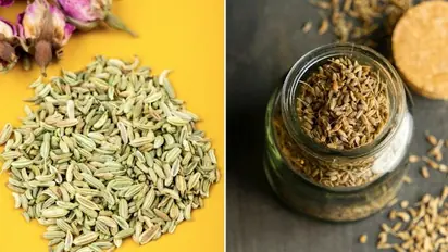 Digestion to Respiratory health: 7 magical benefits of Fennel seeds