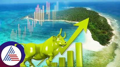 ಮೋದಿ ಲಕ್ಷದ್ವೀಪ ಭೇಟಿ ಬೆನ್ನಲ್ಲೇ  ಈ ಷೇರಿಗೆ ಭಾರೀ ಬೆಲೆ; ಕೇವಲ ಎರಡೇ ದಿನಗಳಲ್ಲಿ ಶೇ.39ರಷ್ಟು ಜಿಗಿತ