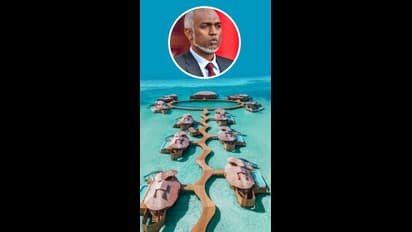 இந்தியர்களின் தரமான பதிலடி.. “நீங்களாவது நிறைய பேரை அனுப்புங்க..” சீனாவிடம் மாலத்தீவு அதிபர் கோரிக்கை.. 