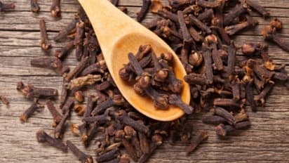 தினமும் 2 கிராம்பு இப்படி சாப்பிடுங்க...நடக்கும் மாற்றத்தை பார்த்து அசந்துடுவீங்க