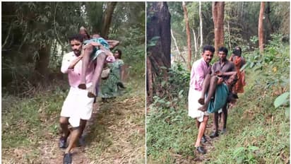 കാട്ടുപോത്ത് ആക്രമണം: കൊടുംകാട്ടിലൂടെ കാളനെ ചുമന്ന് പ്രമോട്ടർമാർ, ജീവൻ രക്ഷിക്കാനായത് നിർണായക ഇടപെടലിൽ