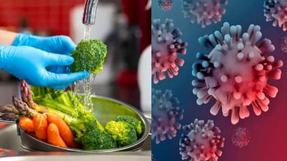 ಸಸ್ಯಾಹಾರಿಗಳಿಗೆ ಕೋವಿಡ್ ಬರುವ ಸಾಧ್ಯತೆ ಶೇ.39ರಷ್ಟು ಕಡಿಮೆ; ಹೊಸ ಅಧ್ಯಯನ