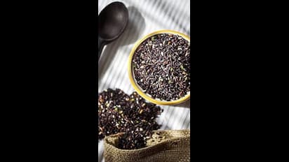 இதய ஆரோக்கியம் முதல் புற்றுநோய் தடுப்பு வரை; கருப்பு கவுனி அரிசியில் கொட்டி கிடக்கும் நன்மைகள்!