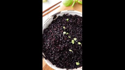 ಕೆಂಪಕ್ಕಿ ಗೊತ್ತು, ಇದೇನು ಕಪ್ಪಕ್ಕಿ ಮಧುಮೇಹಿಗಳಿಗೆ ರಾಮಬಾಣನಾ?