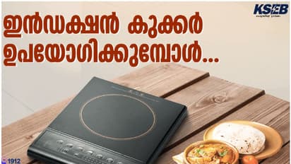 1500-2000 വാട്സ് പവര്‍ റേറ്റിംഗ്, ഒരു മണിക്കൂർ ഉപയോഗിച്ചാൽ...; ഇൻഡക്ഷൻ കുക്കര്‍ ഉപയോഗിക്കുമ്പോള്‍ ശ്രദ്ധിക്കുക
