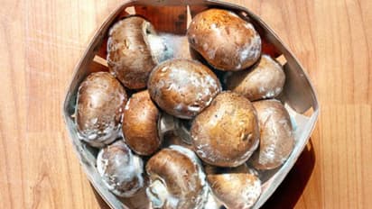 ഈ വിറ്റാമിന്‍റെ കുറവുള്ളവര്‍ക്ക് കഴിക്കാം മഷ്‌റൂം; അറിയാം മറ്റ് ഗുണങ്ങള്‍... 