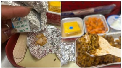 'കോഴിക്കഷ്ണങ്ങൾ' അടങ്ങിയ 'വെജിറ്റേറിയന്‍ ഭക്ഷണം' ലഭിച്ചെന്ന് പരാതി, മറുപടിയുമായി എയർ ഇന്ത്യ !