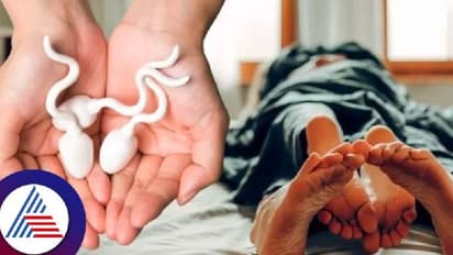 ಪುರುಷರು ಹಾಗೂ ಮಹಿಳೆಯರಲ್ಲಿ ಫಲವತ್ತತೆ ಹೆಚ್ಚಿಸುತ್ತೆ ಈ ಕೆಂಪು ಹಣ್ಣು  