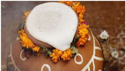 മകര പൊങ്കൽ ; പ്രധാന്യവും ആഘോഷരീതിയെയും കുറിച്ചറിയാം    