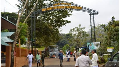 മകരവിളക്ക് മഹോത്സവം; കുമളിയിൽ നിന്ന് കെ.എസ്.ആർ.ടി.സി ബസ് 1 മണി വരെ, വള്ളക്കടവ് വഴി പ്രവേശനം 2 മണിവരെ