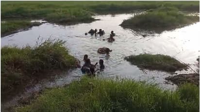 അരിവാളിന് പുല്ല് അരിയവെ തിരുവനന്തപുരം വെള്ളായണി കായലിൽ യുവാവിന് ദാരുണാന്ത്യം