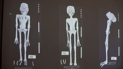 കൈകളിൽ 3 വിരൽ, നീണ്ട തല, ആ 'ഏലിയൻ മമ്മി'യിലുള്ളത് മനുഷ്യന്‍റേയും ജീവികളുടേയും എല്ലുകൾ, നിർമ്മിച്ചത് പശ വച്ച്!