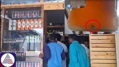 Bengaluru: Dead fly found in liquor bottle at bar near Electronic City 