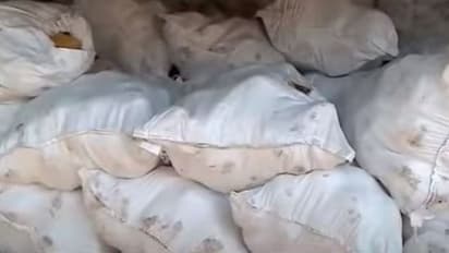 ആളെ കൊല്ലിയോ? വെളുത്ത ചാക്കുകളിലായി 4000 കിലോ, നിറത്തിലും സംശയം; ഫറോക്കിൽ രേഖയോ വിവരങ്ങളോ ഇല്ലാതെ ശര്ക്കര