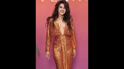 గ్రాండ్ గా ప్రియాంక చోప్రా - నిక్ జోనాస్ కుమార్తె పుట్టినరోజు పార్టీ.. వైరల్ అవుతున్న ఫోటోలు