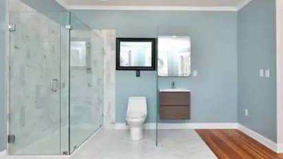 വോയ്‌സ് കൺട്രോളും യുവി ലൈറ്റും മോഷൻ സെൻസറുമുള്ള ടോയ്‍ലെറ്റ് സീറ്റ്, വില 1.77 ലക്ഷം രൂപ..!