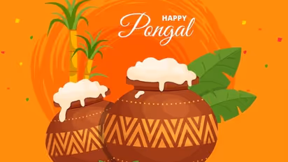 Happy Pongal 2024: Wishes, Messages, Greetings, Facebook/Whatsapp status, quotes for loved ones