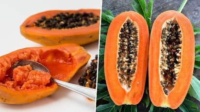 Hydration to Skin health: 7 benefits of eating Papaya in Winter