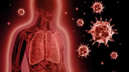 രോഗ പ്രതിരോധശേഷി കൂട്ടാന് സഹായിക്കും അടുക്കളയില് സ്ഥിരമുള്ള ഈ ഭക്ഷണങ്ങള്...