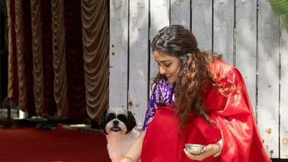 Sankranthi Celebrations : హీరోయిన్ల సంక్రాంతి సెలబ్రేషన్స్... పండగపూట ముద్దుగుమ్మల సందడి చూశారా!