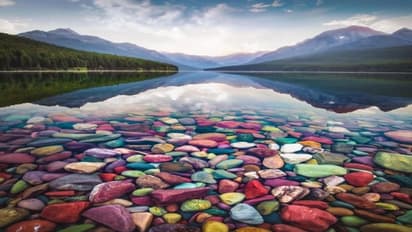 Viral News: अनोखे पत्थरों के लिए फेमस Lake McDonald,नजारा जन्नत से कम नहीं