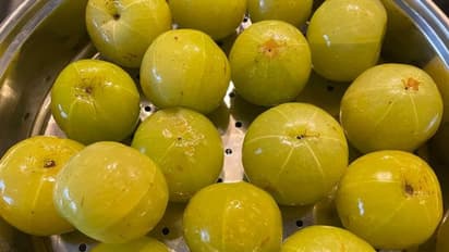 ആവിയിൽ വേവിച്ച നെല്ലിക്ക കഴിക്കുന്നത് ശീലമാക്കൂ, ​ഗുണങ്ങൾ ഇതൊക്കെയാണ് 