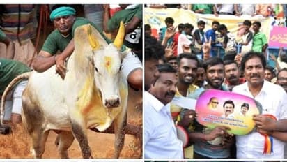 ஆடம்பர கார் வேண்டாம்.. அரசு வேலை கொடுங்க.. உதவியாக இருக்கும் -பாலமேடு சிறந்த மாடு பிடி வீரர் பிரபாகர் கோரிக்கை