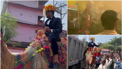 ഒട്ടകപ്പുറത്തെ കല്യാണ ആഘോഷം അതിരുവിട്ടു; കണ്ണൂരിൽ വരനെതിരെ കേസ്