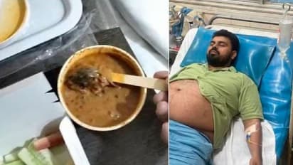 ಹೈಫೈ ರೆಸ್ಟೋರೆಂಟ್ನಿಂದ ವೆಜ್ ಊಟ ಆರ್ಡರ್ ಮಾಡಿದ ವ್ಯಕ್ತಿ, ಆಹಾರದಲ್ಲಿತ್ತು ಸತ್ತ ಇಲಿ!